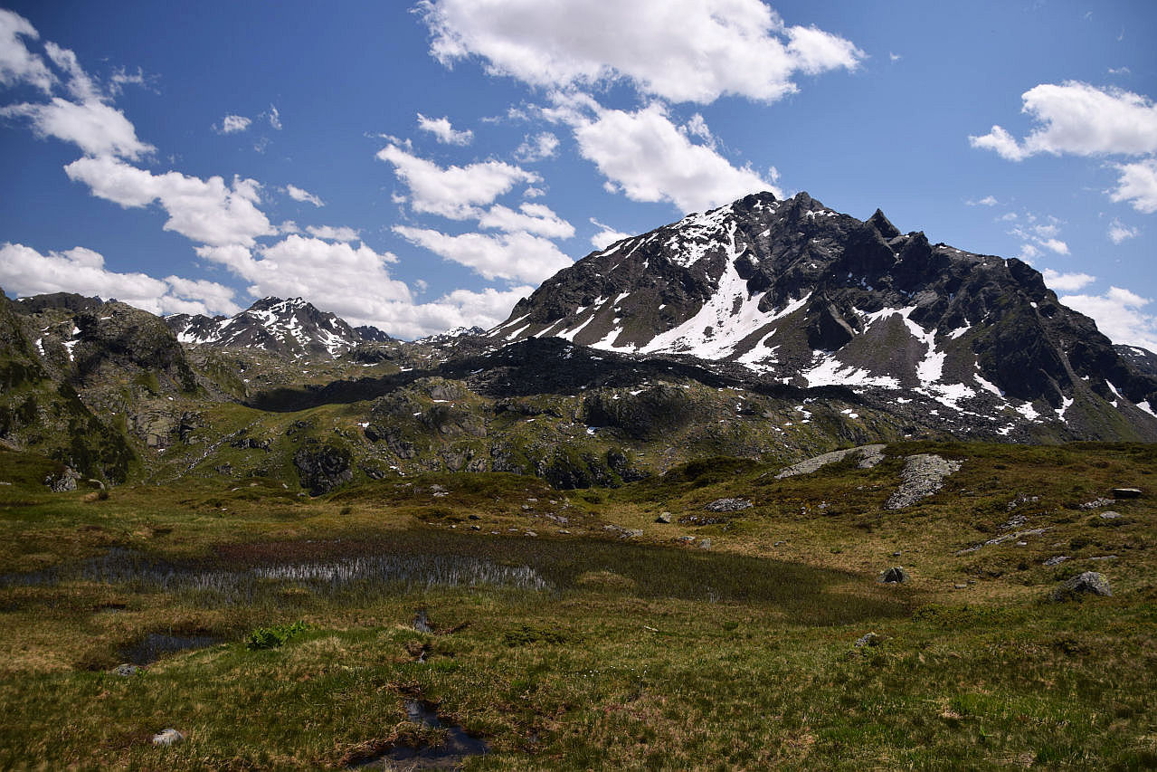 Eine Hochmoorlandschaft in der Vallülagruppe. Im Vordergrund ein kleiner See, aus dem einige Pflanzen ragen. Den Hintergrund dominiert die Vallüla, der höchste Berg in dieser kleinen Berggruppe. Ihre Nordseite wird im Juli noch von einigen Schneefeldern geschmückt. Am blauen Himmel zeigen sich ein paar Schönwetterwolken.