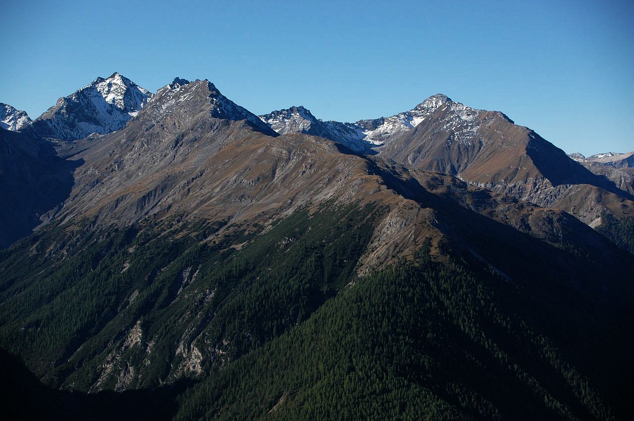 Vom Anstieg zum Munt Baselgia geht der Blick nach Süden. Auf der gegenüberliegenden Talseite, südlich von Zernez, zeigen sich einige Gipfel im westlichen Teil des Schweizer Nationalparks. Der höchste Gipfel links ist der Piz Quattervals, einer von zwei Gipfeln im Schweizer Nationalpark, die bestiegen werden dürfen. In der rechten Bildhälfte steht der Piz d'Esan, ebenfalls ein 3000er. Die Gipfel sind auf ihren Nordseiten mit Neuschnee bedeckt. In der unteren Bildhälfte sind die Berge fast komplett mit Wald bedeckt. Die Alpweiden darüber sind bereist braun gefärbt - ein Zeichen, dass der Herbst kommt. Der Himmel ist blau und wolkenlos.