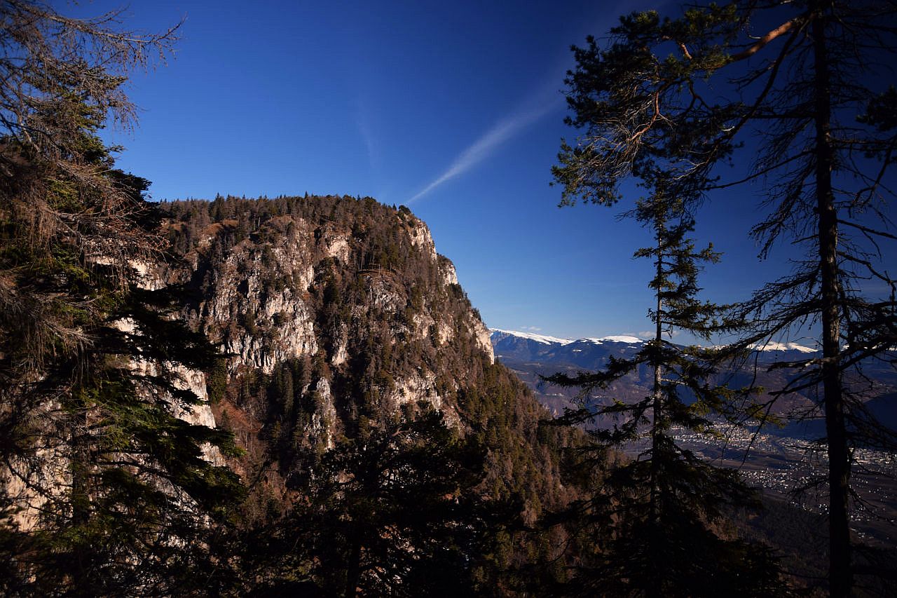 Vom Anstieg zum Penegal geht der Blick über eine Schlucht nach Norden auf die unwegsamen und wilden Südabstürze des Penegal. Diese sind stark bewaldet, dazwischen schauen Kalkfelsen heraus. Bei dem Anblick könnte man an einen Urwald denken. In der rechten Bildhälfte erkennt man zwischen zwei großen Bäumen die flachen Gipfel der Sarntaler Alpen und die Häuser von Bozen. Der Himmel ist blau mit wenigen Schleierwolken.