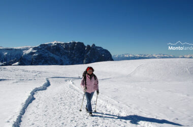 Auf dem Bild sieht man eine Winterwanderin auf dem geräumten Winterwanderweg auf der Hochfläche am Puflatsch in den Dolomiten in Südtirol. Im Hintergrund erhebt sich über der Wanderin der Schlern, der Symbolberg Südtirols. Rechts sind im Hintergrund über der Hochfläche noch die Gipfel der Brentagruppe, der Presanellagruppe und der Ortlergruppe zu sehen. Der Himmel ist blau und wolkenlos. Ein perfekter Winterwandertag.