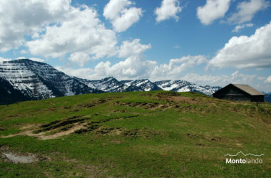 Auf dem Bild geht der Blick von knapp unterhalb des Denneberg-Gipfels im Prodelkamm Richtung Süden und Südwesten zu den Gipfeln der Nagelfluhkette zwischen Hochgrat links am Bildrand und Fallen rechts. Rechts sieht man die Hütte der Oberdennebergalpe. Die Gipfel sind im Mai auf den Nordseiten in den höheren Lagen noch schneebedeckt. Die Wiese im Vordergrund ist bereits grün. Der Himmel ist blau, aber es hat einige Quellwolken, die vor allem an den Gipfeln der Nagelfluhkette Schatten werfen. Der Gesamteindruck ist dennoch freundlich und frühlingshaft.