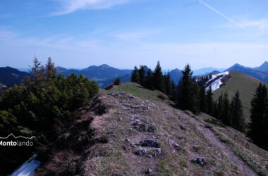 Auf dem Bild geht der Blick vom Spieser bei Hindelang nach Osten und Nordosten zu den Bergen zwischen Ostallgäu und Tannheimer Tal. Von links nach rechts sieht man: Starzlachberg, Reuterwanne (rechts von einer Latschenkiefer), Alpspitz und Edelsberg (Doppelgipfel), Sorgschrofen und Kienberg (beide teils von Bäumen verdeckt, Hirschberg (im Mittelgrund), darüber Schönkahler und Breitenberg, ganz rechts Aggenstein und Brentenjoch. Der Gipfelgrat ist zum Teil mit Bäumen bewachsen, die manchen Gipfel etwas verdecken. Der Himmel ist blau und mit wenigen dünnen Schleierwolken verziert. Es ist ein wunderschöner Frühlingstag im Allgäu!