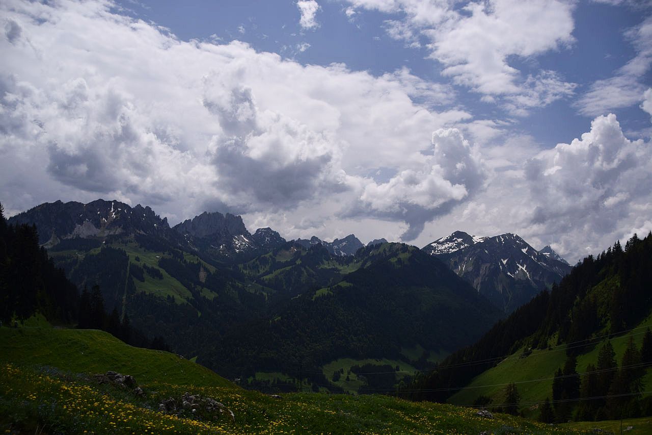 Auf dem Bild geht der Blick vom Euschelspass über das Jaunbachtal hinweg zu den Bergen der Freiburger Voralpen in der Westschweiz. Man erkennt links die Türme der Gastlosenkette, rechts die Hochmatt. Die Berge tragen noch einige, eher kleinere Schneefelder. Die niedrigeren Berge im Mittelgrund sind grün und stark bewaldet. Im Vordergrund breitet sich eine Wiese mit Löwenzahn aus. Der Himmel ist bereits stark bewölkt, nur an wenigen Stellen scheint die Sonne hindurch. Die Wolken lassen erkennen, dass sich bald Gewitter bilden werden.