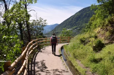 Auf dem Bild sieht man eine Wanderin am Algunder Waalweg. Neben dem breiten Weg sieht man rechts den Waal, der in einem Kanal verläuft. Links wird der Weg von einem Holzzaun begleitet, der noch ziemlich neu aussieht. Links und rechts vom Waalweg stehen Bäume und Büsche, die jetzt im Frühling in sattem grün leuchten. Im Hintergrund sieht man noch ein paar bewaldete Hügel jenseits des Etschtals. Der Himmel ist blau und es hat Schleierwolken.