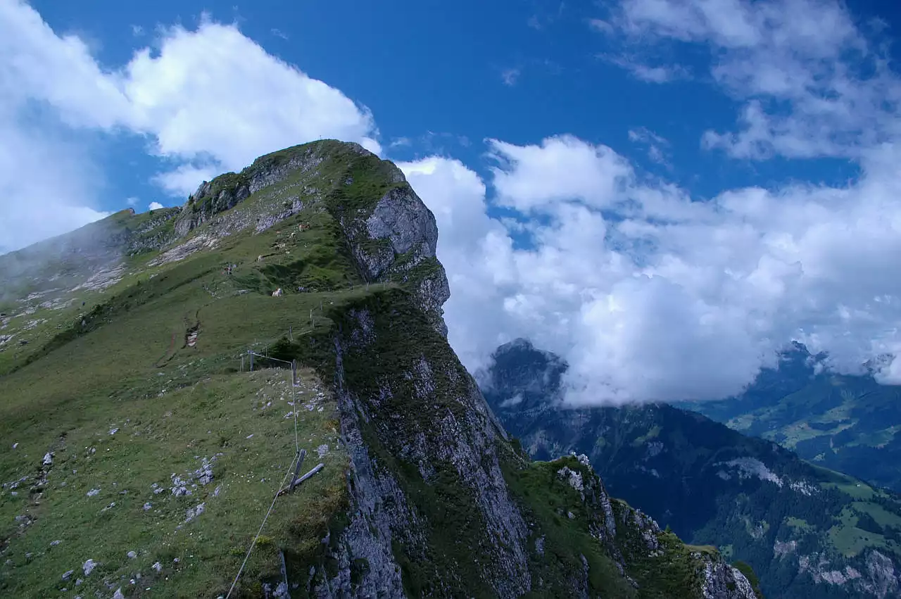 Auf dem Bild sieht man den letzten Abschnitt des Anstiegs von Norden zum Gehrihorn. Man erkennt sehr schön die zwei unterschiedlichen Seiten. Nach rechts bricht der Berg stiel, zum Teil sogar mit überhängenden Felsen ab. Nach links dacht er sich wesentlich sanfter ab, obwohl auch auf dieser Seite der letzte Aufschwung zum Gipfel steil ist. Am Grat sieht man einen Zaun, der verhindern soll, dass Kühe dort abstürzen. Etwas oberhalb kann man eine kleinere Herde erkennen. Der Himmel ist blau, aber es hat viele dichte Wolken. Das Gehrihorn ist frei und es zeigt sich die Sonne ein wenige, aber die Berge rechts im Hintergrund (Elsighorn, Niesenkette) stecken in Wolken.