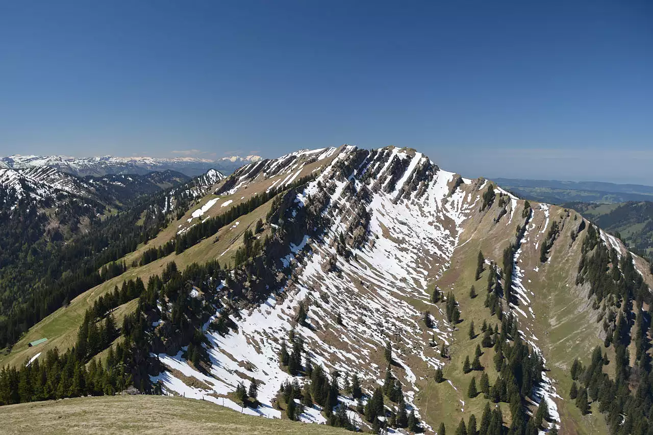 An einem Traumtag im Mai geht der Blick vom Sedererstuiben über den Verbindungsgrat zu zum Buralpkopf. Über dem Grat sind noch die Spitzen von Rindalphorn und Hochgrat erkennbar. Links am Horizont erheben sich die noch schneebedeckten Gipfel im Bregenzerwald und in der Ostschweiz. Rechts ist hinter den grünen Hügeln des Alpenvorlandes noch der Bodensee erkennbar. Der Himmel ist blau mit wenigen Schleierwolken.
