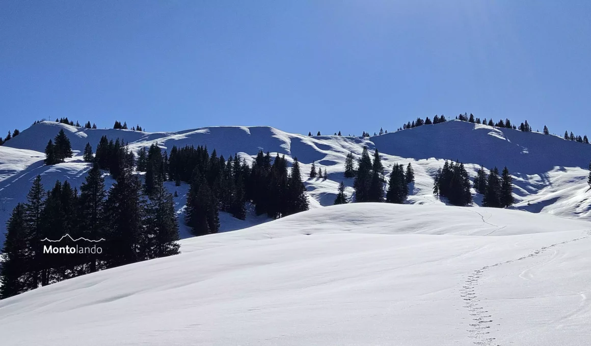 Auf dem Bild geht der Blick nachmittags von vom Rücken oberhalb der Höllritzer Alpe zurück auf Bleicherhorn, rechts und Höllritzereck, links. Auf beiden Gipfeln ist das Gipfelkreuz zu erkennen. Im Vordergrund sieht man die Spur, die in Richtung der Gipfel führt. Die Landschaft ist noch winterlich verschneit. Im Bildmittelgrund hat es Bäume. Der Himmel ist blau und wolkenlos.
