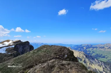 Auf dem Bild geht der Blick von einem Vorgipfel über den grasigen Gratrücken zum Diedamskopf. Der Gipfel mit dem Gipfelkreuz ist links zu sehen. Er liegt in der Sonne, während der Grat dorthin im Wolkenschatten liegt. Im Hintergrund sieht man das Bregenzerwaldgebirge, besonders die Winterstaude rechts fällt auf. Am Horizont erkennt man in der Bildmitte noch den Bodensee. Der Himmel ist blau, es hat wenige kleine Quellwolken. Die Sicht scheint an diesem Tag endlos zu sein.